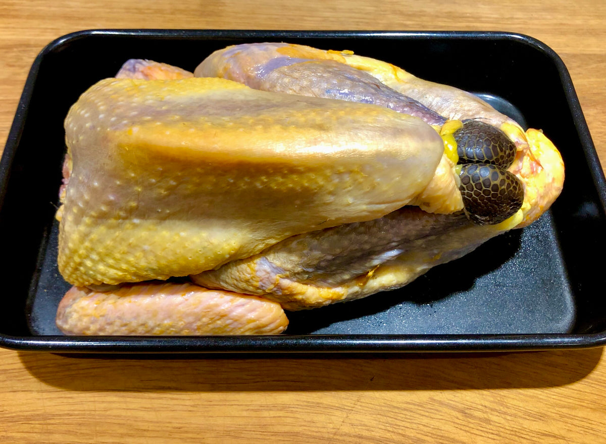 Guinea Fowl